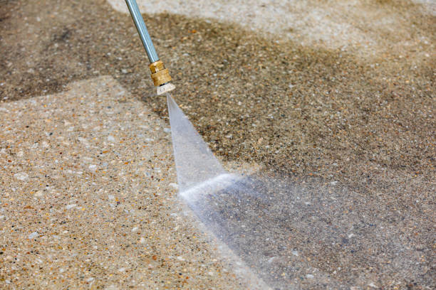 Best Animal Enclosure Cleaning  in Strongsville, OH